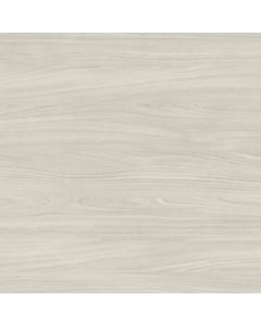 Wilsonart 8219 Ivory Birch | 38 Fine Velvet Finish | 350 Postform HPL | 48" x 96"