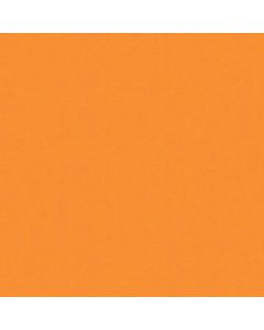 Wilsonart D501-60 Orange Grove | Favorite Laminate Options