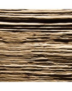 Holz in Form Knob Oak | Spalt Texture | 21mm Board | 25"W x 96-7/16"L