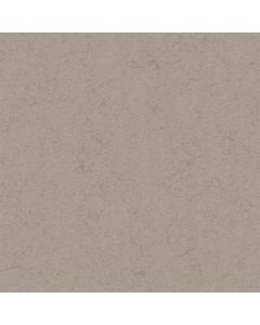 Wilsonart Select Q6025 San Angelo | 3cm Quartz | 65"W x 130"L